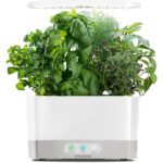 AeroGarden with Gourmet Herb Seed Pod Kit - Hydroponic Indoor Garden