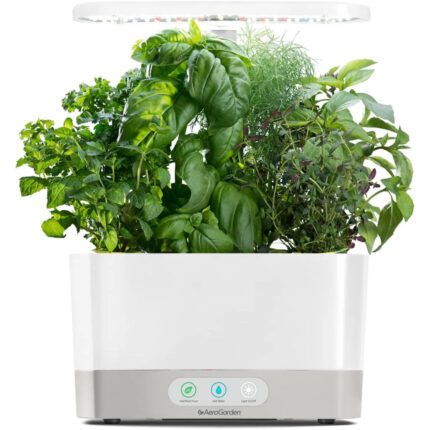 AeroGarden with Gourmet Herb Seed Pod Kit - Hydroponic Indoor Garden