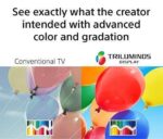 Sony X800H 43inch TV 4K Ultra HD Smart LED TV with HDR and Alexa Compatibility ?C 2020 Model