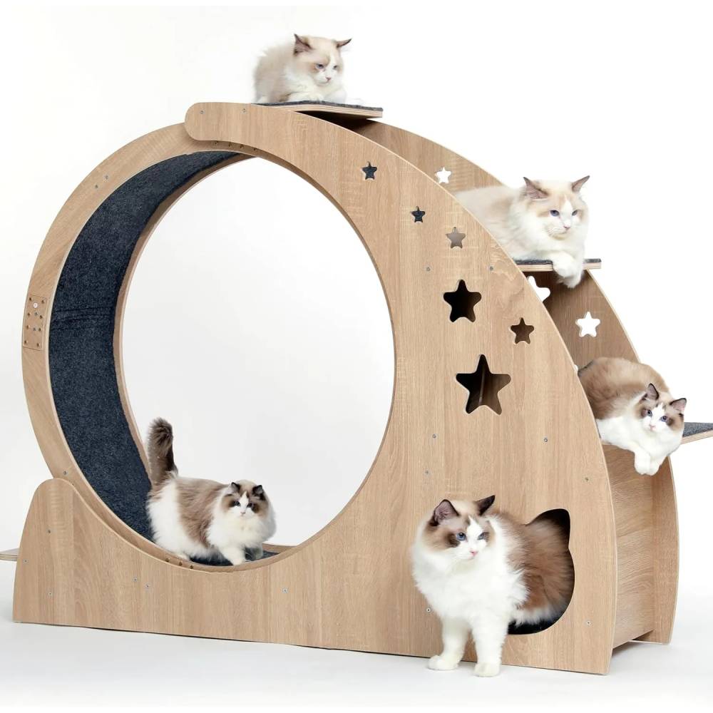 CYlively 41.3" High Large Cat Wheels for Indoor Cats with Silent Wheel CYlively 41.3" High Large Cat Wheels for Indoor Cats with Silent Wheel