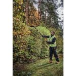 20V MAX Cordless Battery Powered Pole Hedge Trimmer Kit with (1) 4Ah Battery,Charger & Accessories DCPH820M1