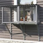 TIMHAKA Cat Window Perch for Large Indoor Cats - for Sunbathing