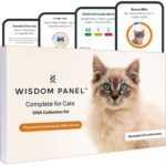 Wisdom Health Cat DNA Test: Health Breeds Traits - 1 Pack