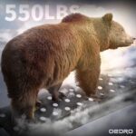 OEDRO Drop Down Running Boards Compatible Textured Steel Nerf Bars