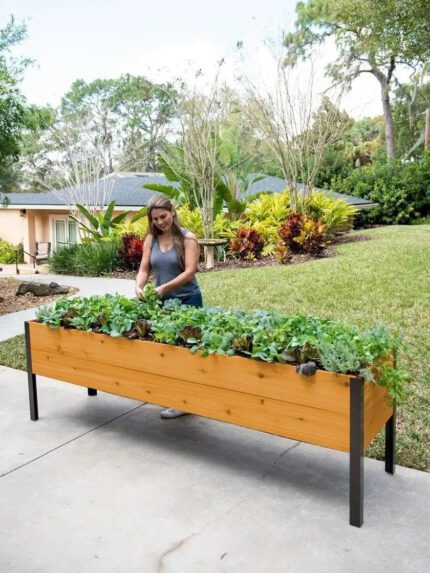 EcoStained Self-Watering Raised Planter Box with Aluminum Legs,Cedar/Cypress,96 x24 x29