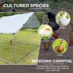 Large Metal Chicken Coop Walk-in Poultry Cage