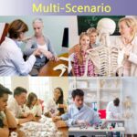 EVOTECH SCIENTIFIC Human Skeleton Model For Anatomy 67 inch High for Anatomy Medical Learning