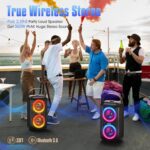 W-KING 80W Party Portable Speaker Bluetooth Wireless Boom Box with 2 Bass Tube