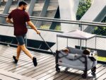 EVER ADVANCED Foldable into Bag Travel Wagon with Removable Canopy