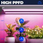 Barrina LED Grow Light,V-Shape with Reflector,Plant Lights for Indoor Plants,6-Pack