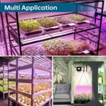 Barrina LED Grow Light,V-Shape with Reflector,Plant Lights for Indoor Plants,6-Pack