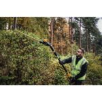20V MAX Cordless Battery Powered Pole Hedge Trimmer Kit with (1) 4Ah Battery,Charger & Accessories DCPH820M1