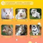 2-in-1 Collapsible Rabbit Tunnel Tubes Toys with Removable Mat