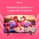 VIZIO 50??? 4K Resolution HDR Smart TV,Dolby Vision HDR/HDR10+,WiFi 6 ?C (Renewed)