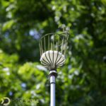 DOCAZOO Fruit Picker Pole with Basket telescoping - 6-24 Ft Telescoping Pole