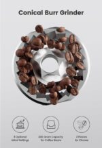 Gevi 10-Cup Coffee Maker with Built-in Grinder