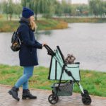 4 Wheel Dog Stroller,Wedyvko Foldable Pet Stroller with Storage Basket and Cup Holder for Small Medium Dogs & Cats (Blue-green)
