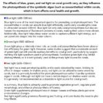 VBR-Aqua PAR Meter for Aquarium Seperately with a Telescopic Rod