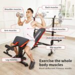 OPPSDECOR 6 in 1 Weight Bench Set with Squat Rack