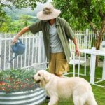 Land Guard 1/2 inch 48inch??100ft Chicken Wire Fence