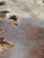 Home Accents 12 ft. Giant-Sized Skeleton with LifeEyes NO250058