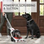 Hoover PowerDash Pet+ Compact Carpet Cleaner Machine - Costco