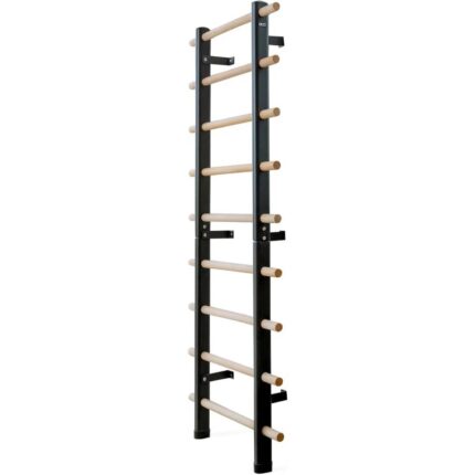DHT DYNAMIC HEALTH TECH Swedish Ladder Suspension Trainer with 9 Strategic Rods