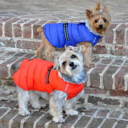 Import placeholder for alpine-extreme-weather-puffer-dog-coat-b-326732139