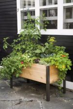 EcoStained Self-Watering Raised Planter Box with Aluminum Legs,Cedar/Cypress,96 x24 x29
