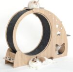 CYlively 41.3" High Large Cat Wheels for Indoor Cats with Silent Wheel