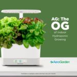 AeroGarden with Gourmet Herb Seed Pod Kit - Hydroponic Indoor Garden