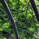 Hanging Rattan Egg Chair