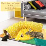 2-in-1 Collapsible Rabbit Tunnel Tubes Toys with Removable Mat