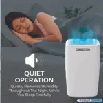 Prolux 12L Dehumidifier