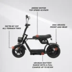 Swoop Elektro Moped Turbo 2000W Schwarz