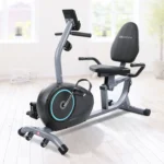 MARNUR Recumbent Exercise Bike with 8 Levels Adjustable Resistance,LCD Monitor,Pad Holder,Wheels