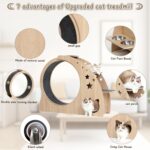 CYlively 41.3" High Large Cat Wheels for Indoor Cats with Silent Wheel