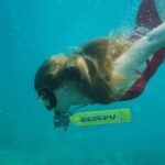 Scuba Diving Tank,0.5L Constant Pressure Mini Scuba Tank,Dive Tanks with On-Off Valve,5-10 Minutes Underwater Capability,Portable Mini Scuba Tanks,Scuba Diving Tanks with Pump