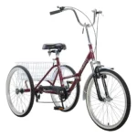 Adult Mantis Tri-Rad Folding 24??? 6-Speed Tricycle