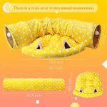 2-in-1 Collapsible Rabbit Tunnel Tubes Toys with Removable Mat