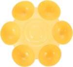 6- Meal Kitten Food Bowl Multiple