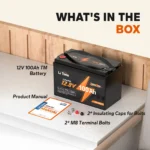 LiTime 12V 100Ah TM LiFePO4 Lithium Battery Built in 100A BMS