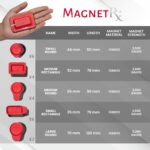 MagnetRX Assorted Round & Rectangular 2500-5200 Gauss Magnets (22 Mixed Units)