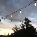 Forney Vinyl Coated Galvanized Wire Rope Aircraft Cable,250-Feet