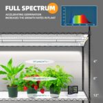 Barrina Mini Greenhouse with LED Grow Light 4-Tier Portable Metal Plant Stand