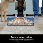 Shark CarpetXpert EX201 Carpet Cleaner, Cyan ?C Deep Cleaning with StainStriker, Perfect for Pets, Includes Spot & Stain Remover Tools