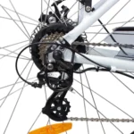 Swoop Elektrofahrrad City,Damen 28