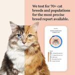 Wisdom Health Cat DNA Test: Health Breeds Traits - 1 Pack